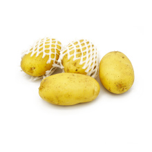 New Crop Fresh Yellow Skin Washed Clean Potato at Best Price